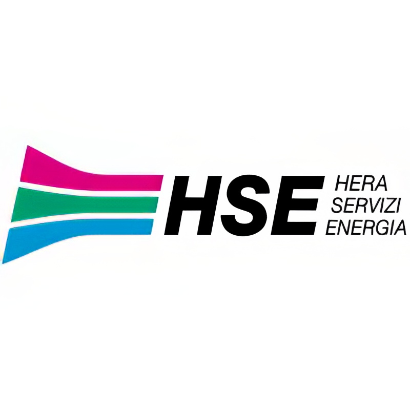 Logo In HSE per le collaborazioni